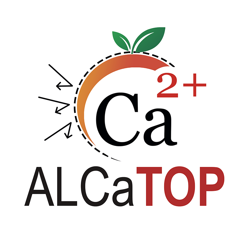 ALCaTOP ürün görseli