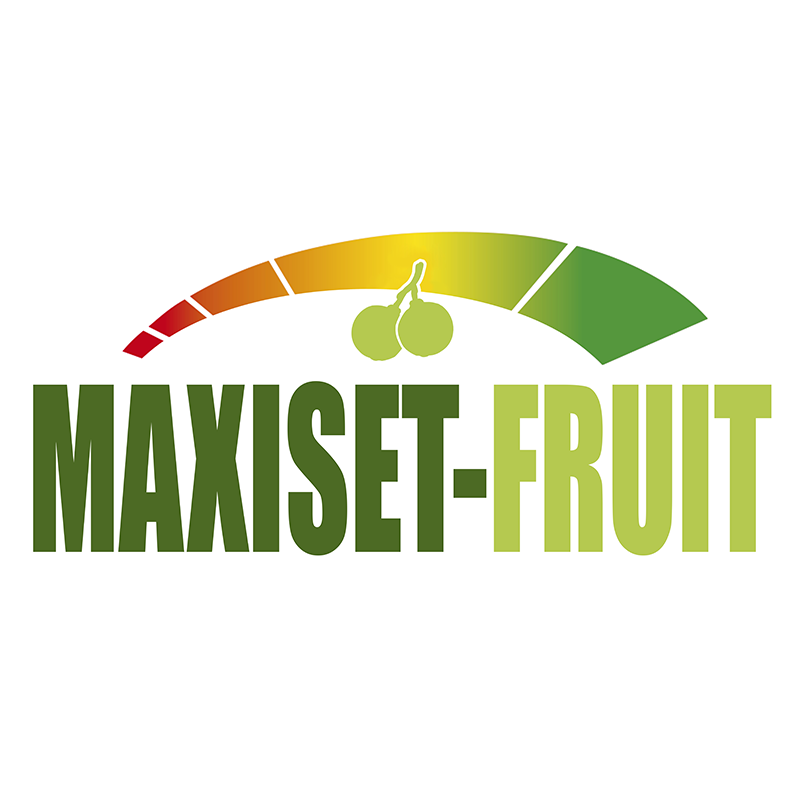 MAXISET FRUIT ürün görseli