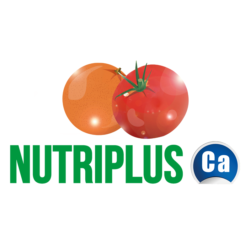 NUTRIPLUS Ca ürün görseli