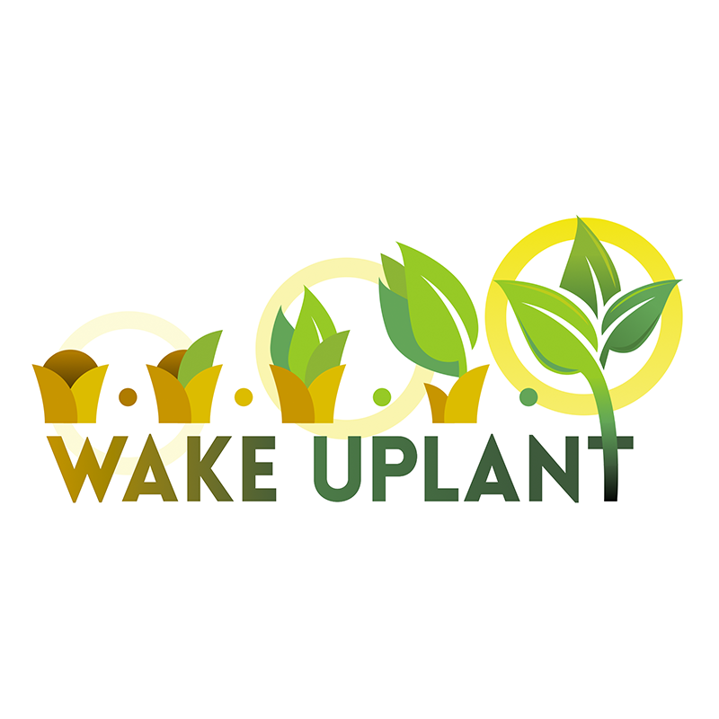 WAKE UPLANT ürün görseli